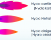 Nyala Api Las